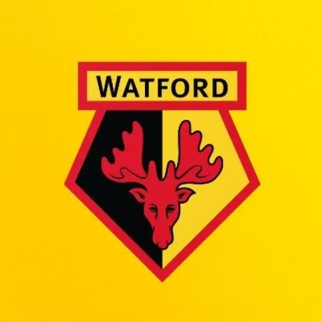 Watford FC whatsapp Channel