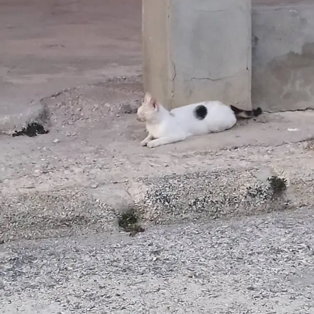 قناة واتساب 😂 ملصقات ضحك 🎭 ملصقات منوعه ضحك نكت