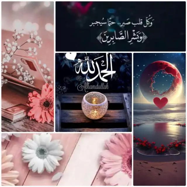 قناة واتساب نصايح الحياة