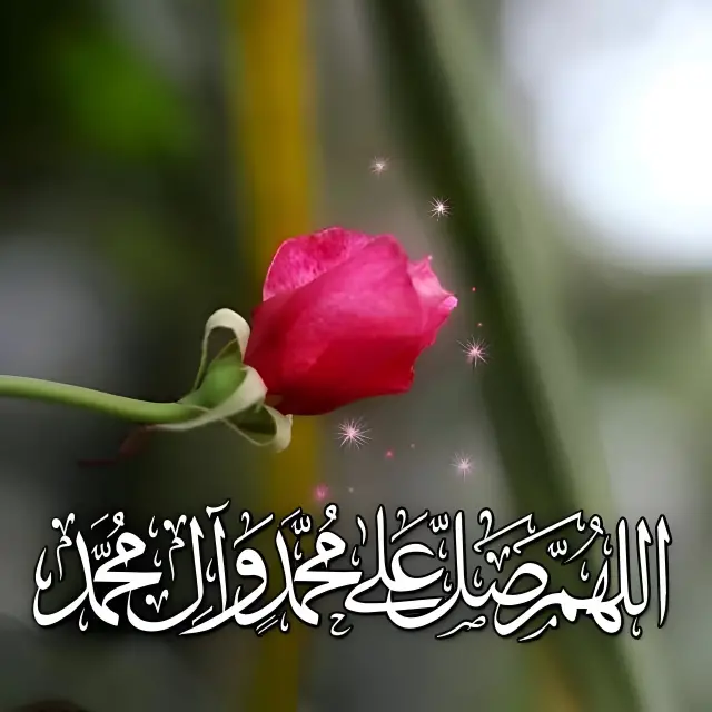 قناة واتساب قناة حالات