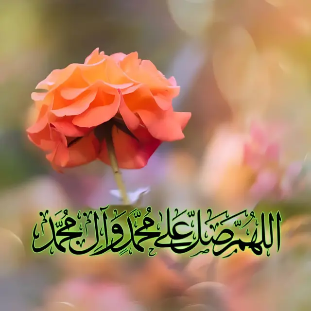 قناة واتساب حالات واتساب منوعه