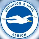 Brighton & Hove Albion Channel