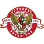 Timnas Indonesia saluran