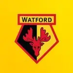 Watford FC channel