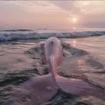𝐋𝐨𝐭𝐭𝐚'𝐬 𝐥𝐢𝐟𝐞 Channel