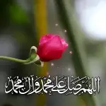 قناة حالات Channel