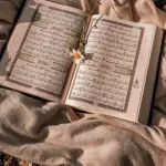 معا للجنة 🧡🥀 Channel