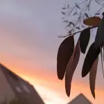Fly & Shoot Channel