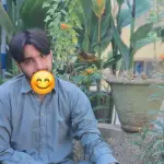 رومان های عاشقانه کانال