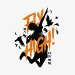Fly high! Haikyu Kanal