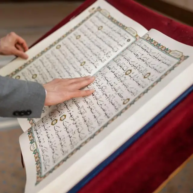 Groupe WhatsApp Rappel À Travers Le Coran